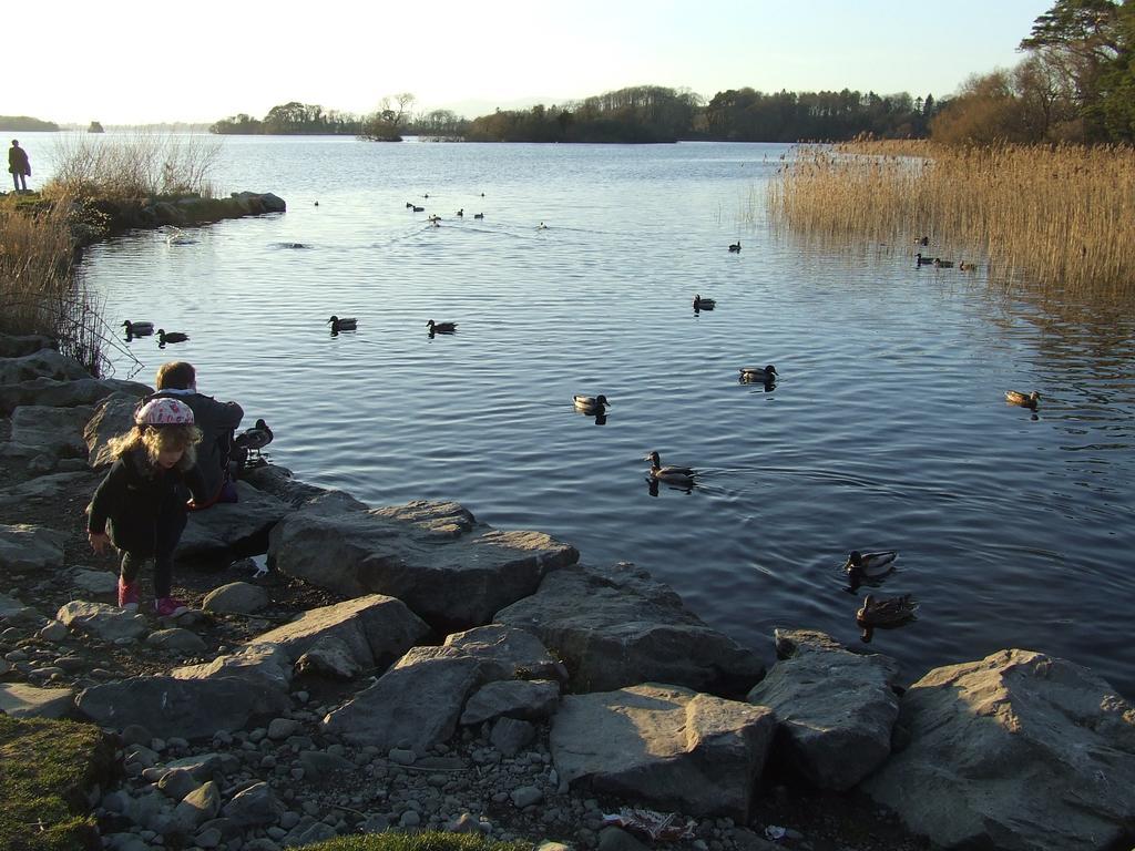 Rockfield House B&B Killarney Luaran gambar