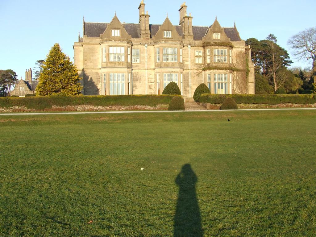 Rockfield House B&B Killarney Luaran gambar