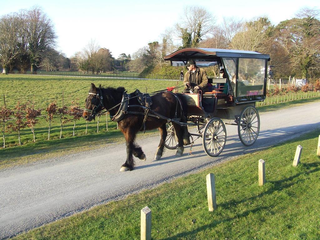 Rockfield House B&B Killarney Luaran gambar